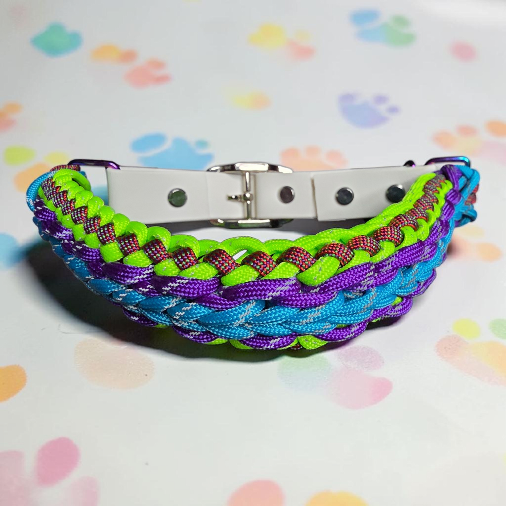 Sanctified Dog Collar