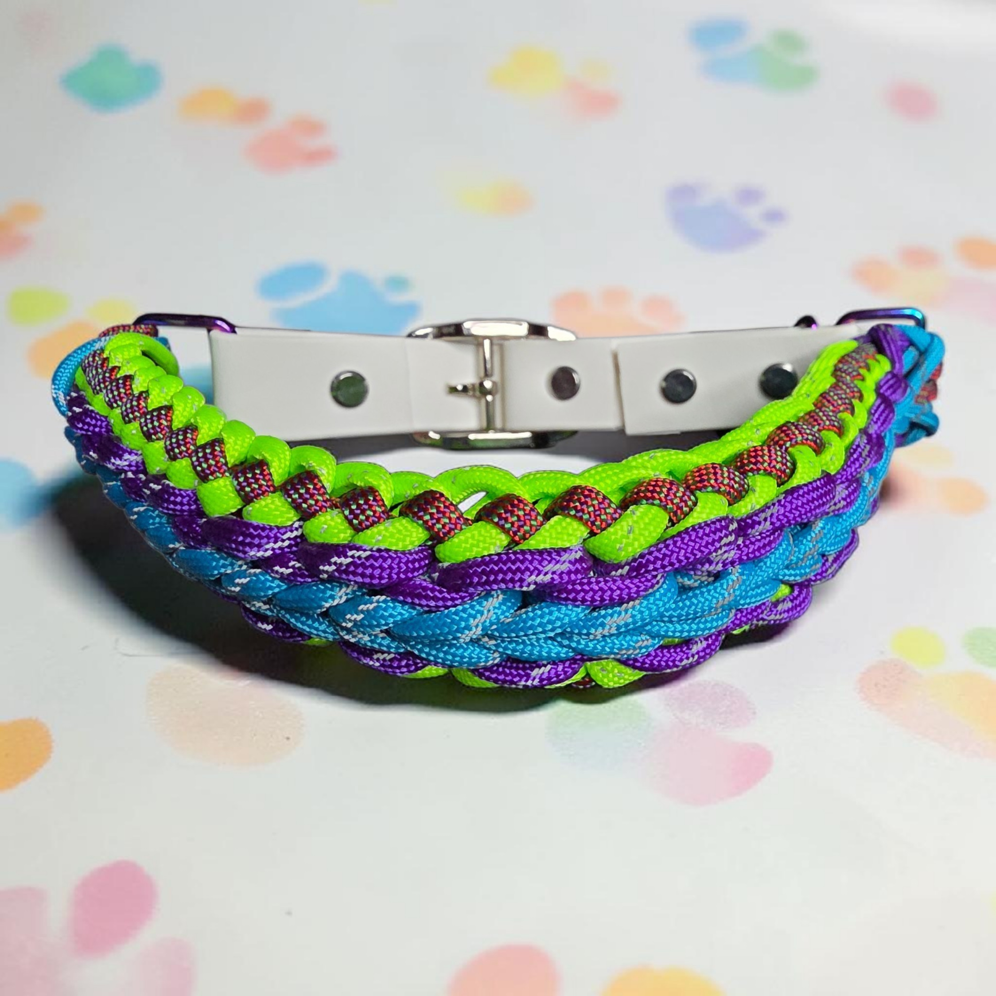 Sanctified Dog Collar