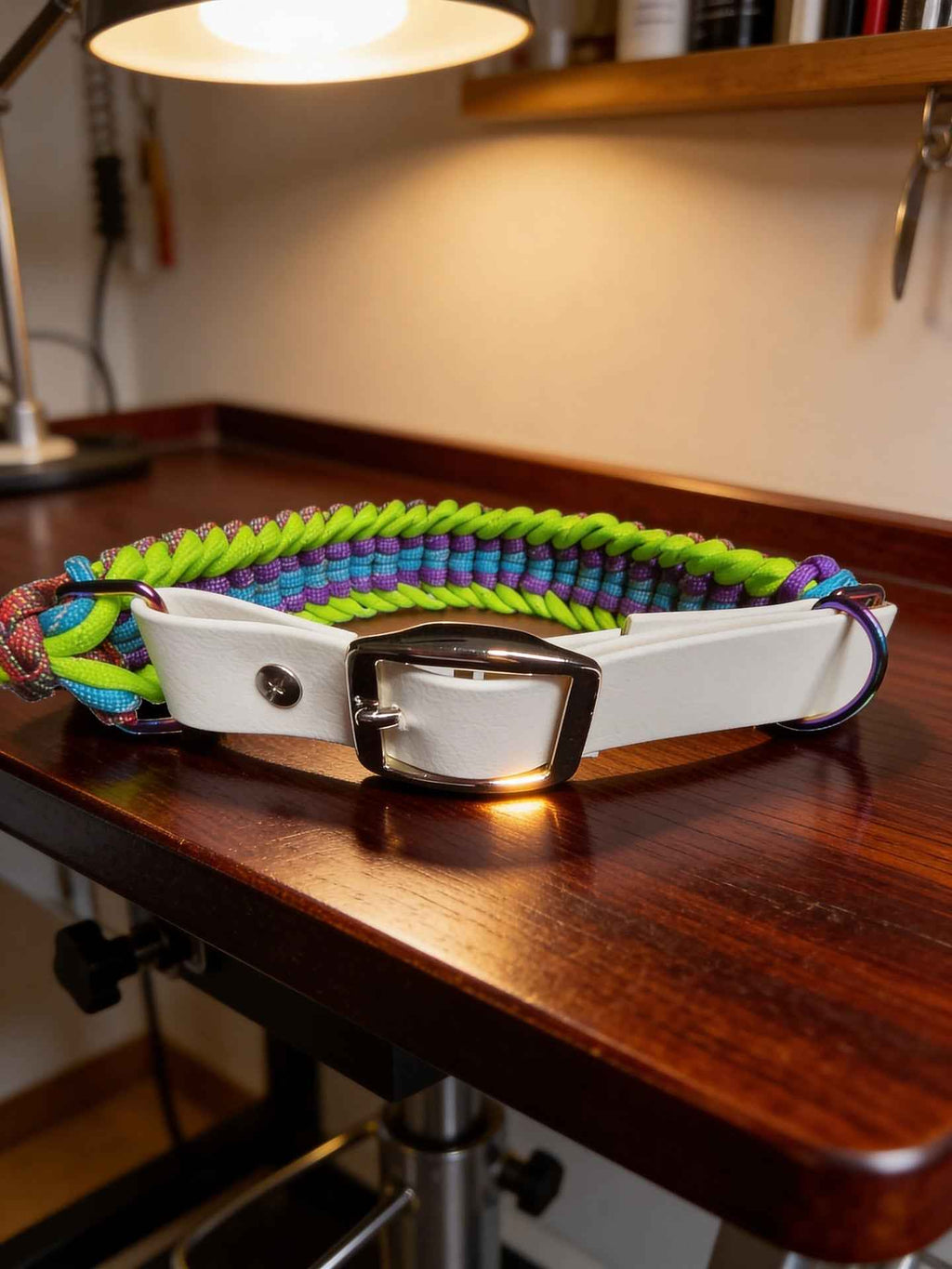Cobra with a tail dog collar