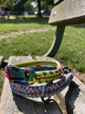 Spined Trilobite Dog Collar