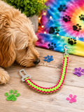 Neon Nights Rover Car Tether-
Bright, bold, and built for safer adventures 🚗🐾