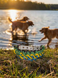 Sanctified Dog Collar